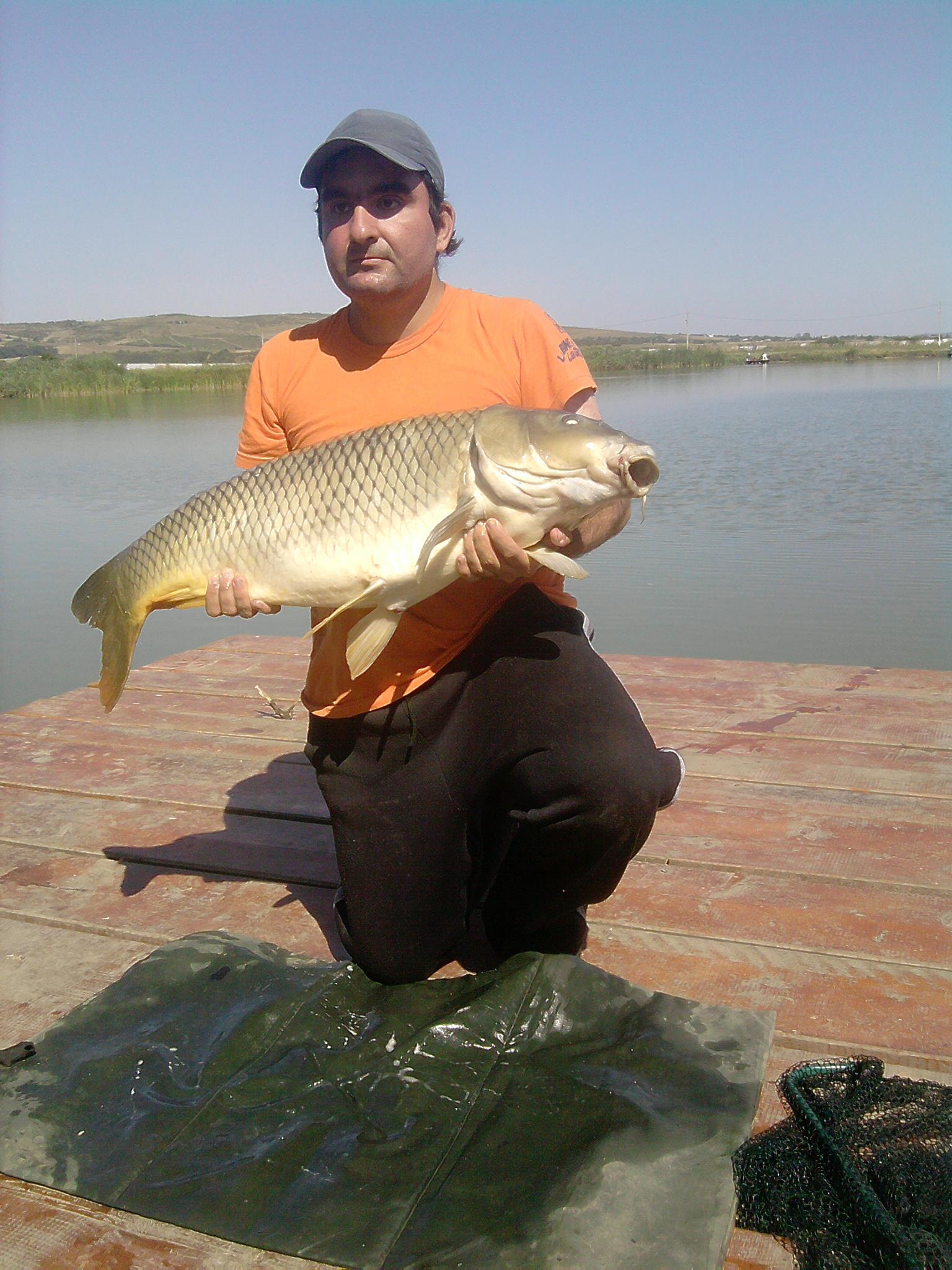 Pleasa 2012 - crap comun 12 kg (recod personal)